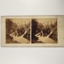 View estereo cardboard