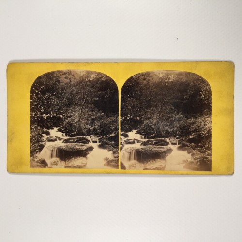 View estereo cardboard