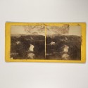 View estereo cardboard