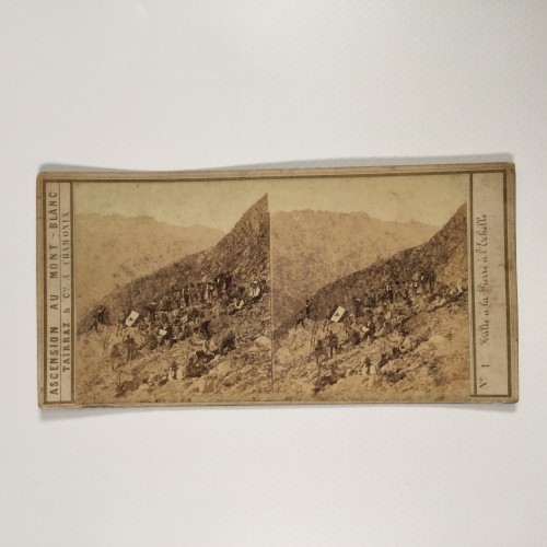 View estereo cardboard