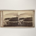 View estereo cardboard