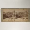 View estereo cardboard