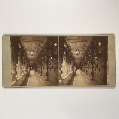 View estereo cardboard