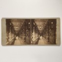 View estereo cardboard