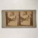 Voir le carton de