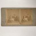 Voir le carton de