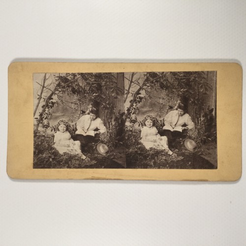 View estereo cardboard