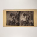 View estereo cardboard