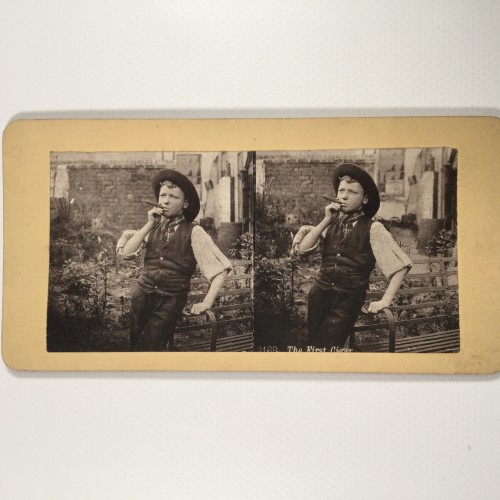 View estereo cardboard