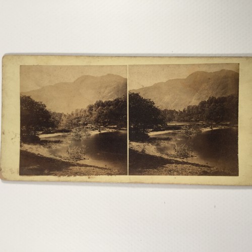 View estereo cardboard
