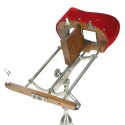 Estereoscopio de Pedestal (Graphoscope/Stereoscope)