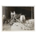 Fotografia Official Photograph - Press Bureau - Our wonderful artillery at work in Flanders