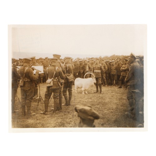 Fotografia Official Photograph - Press Bureau - Official photographs taken on the british western front