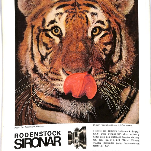 International Photo Technik