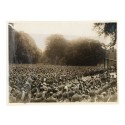 Fotografia Official Photograph - WW Transmission Abroad - Official photograph taken on the western front in France