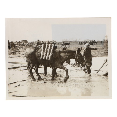 Fotografia Official Photograph - WW Transmission Abroad - With our troops at the battle of Flanders