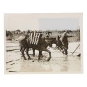 Fotografia Official Photograph - WW Transmission Abroad - With our troops at the battle of Flanders