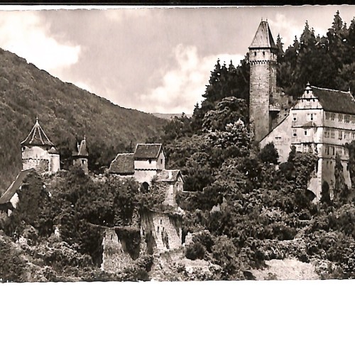 Castillo de Hirschhorn (Schloß Hirschhorn) sobre la colina boscosa en el valle del río Neckar.