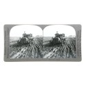 Vistas estereoscopica Keystone View Company - This is a Road