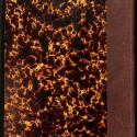 Tomo 27 - Bulletin de la Société Française de Photographie - 1881