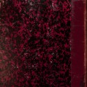 Tomo 29 - Bulletin de la Société Française de Photographie - 1883