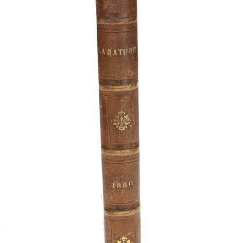 Tomo - La Nature - 1880
