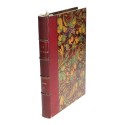 Tomo 2 - La Nature - 1892