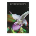 Revista Stereoscopy 88