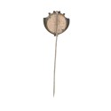Alfiler de corbata o solapa (Stick pin)