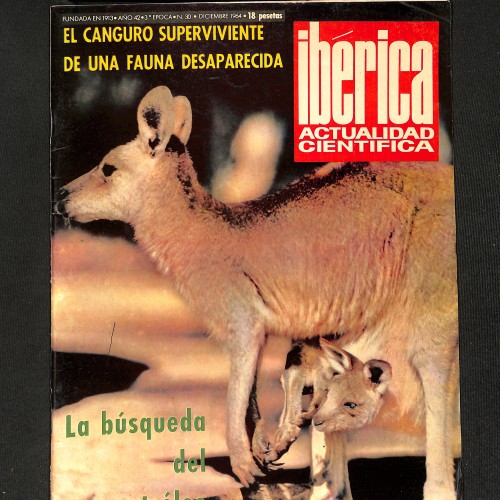 Ibérica: Actualidad Científica "El canguro superviviente de una fauna desaparecida"