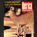 Ibérica: Actualidad Científica "El canguro superviviente de una fauna desaparecida"