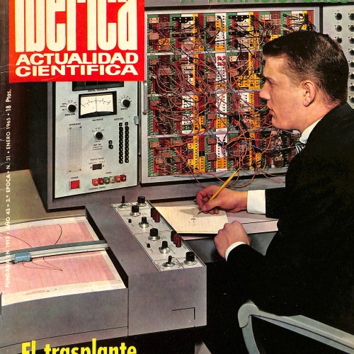 Revista Ibérica: Actualidad Científica (N.º 31) "El trasplante de riñón"