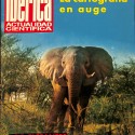 Ibérica: Actualidad Científica, Los elefantes de Addo, cercados (Año 42, 3.ª Época, No. 23)