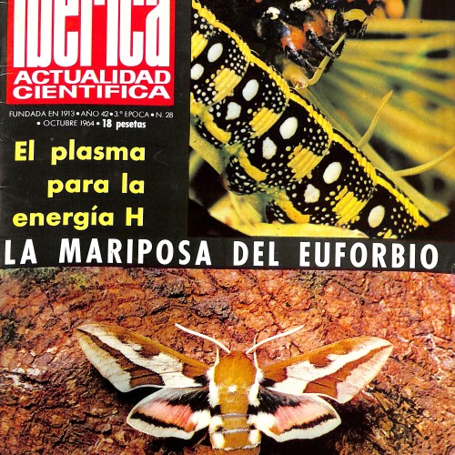Ibérica: Actualidad Científica, La mariposa del euforbio (Año 42, 3.ª Época, No. 28)