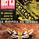 Ibérica: Actualidad Científica, La mariposa del euforbio (Año 42, 3.ª Época, No. 28)