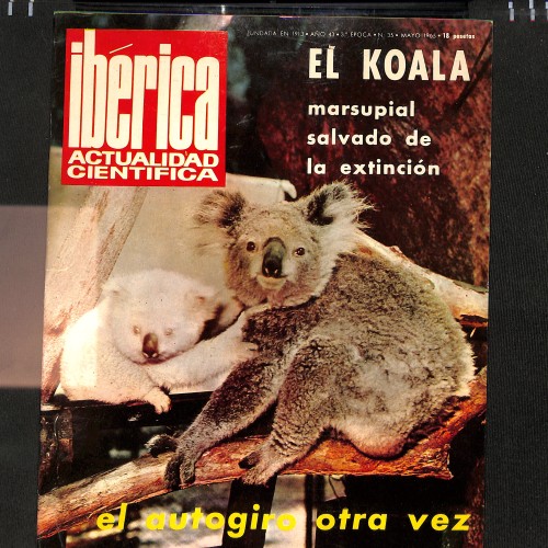 Revista Ibérica: Actualidad Científica (N.º 35) "EL KOALA marsupial salvado de la extinción"