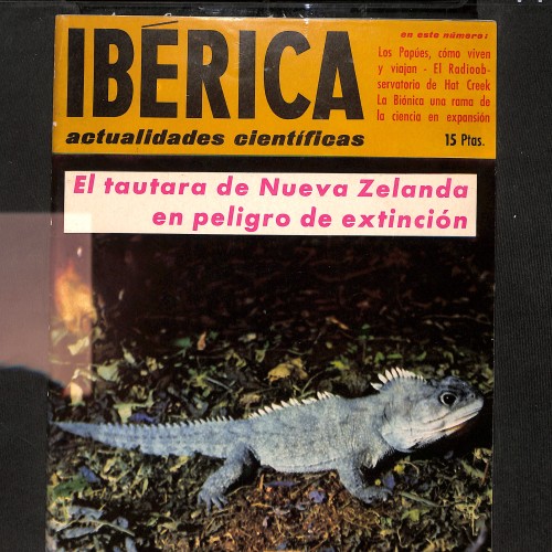 Revista Ibérica - Actualidades Científicas (Portada: El tautara de Nueva Zelanda)