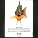 Revista In Camera – January 1999