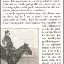 Recorte de prensa histórica: Le kinétoscope (reverso: crónica de fotografía ecuestre instantánea sobre el Capitán Dumas).