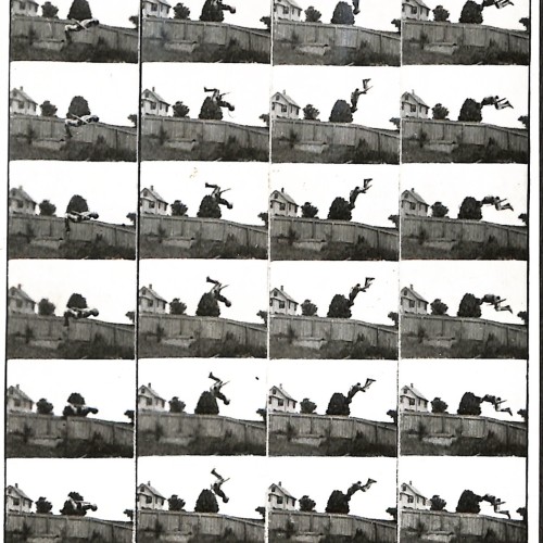 Fotografía histórica / Placa cinematográfica secuencial en papel: Secuencia cronofotográfica de acrobacia (Salto sobre valla).