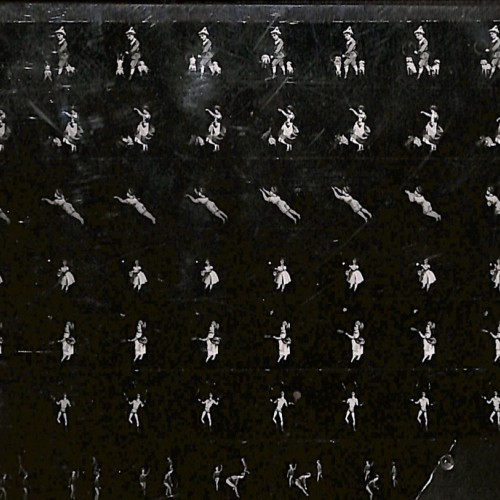 Fotografía histórica que reproduce un conjunto de tiras ópticas de precine