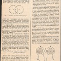 Artículo histórico-científico "Les Origines du Cinématographe".