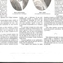 Periódico: "De Cinematografía: Lo que no puede tolerarse".