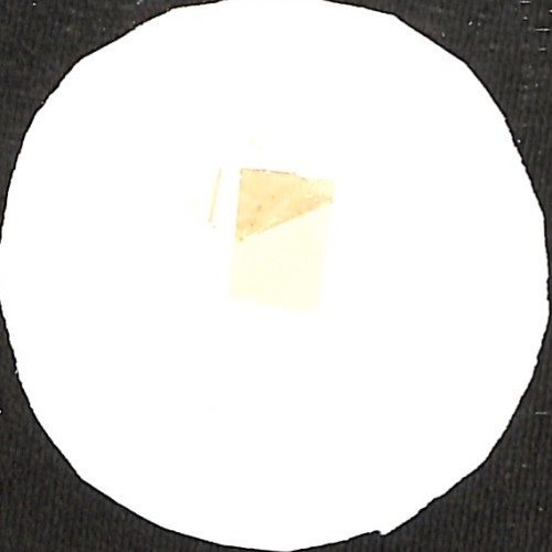 Fotografia
