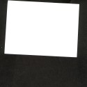 Fotografia  feuine