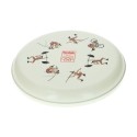 Frisbee Kodak Juegos Olímpicos 1996