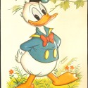 Foto pato donald