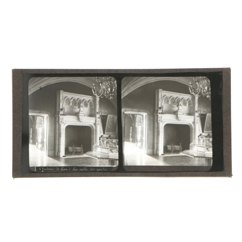 Placa estereoscópica de cristal: Chateau de Pau, La Salle des Gardes