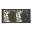 Placa estereoscópica de cristal: Environs de Cauterets