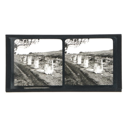 Placa estereoscópica de cristal: Camino de Cipos en el Foro Romano, Italia